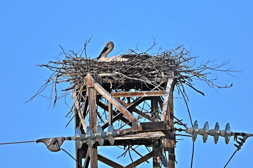 Photograph by Игорь Седунов