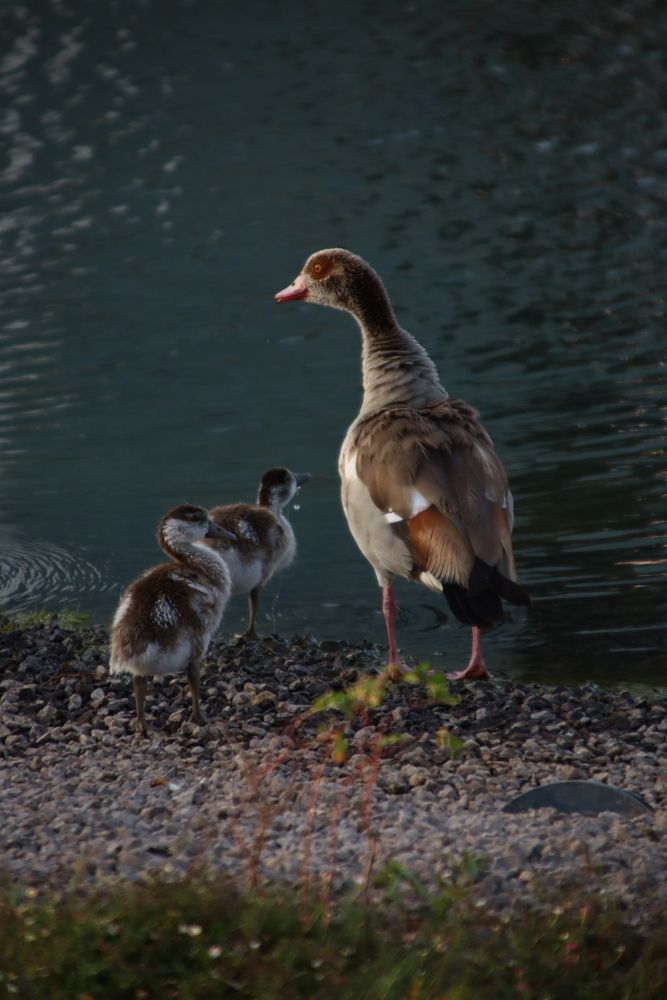 Photograph by Olga Lavrenchuk