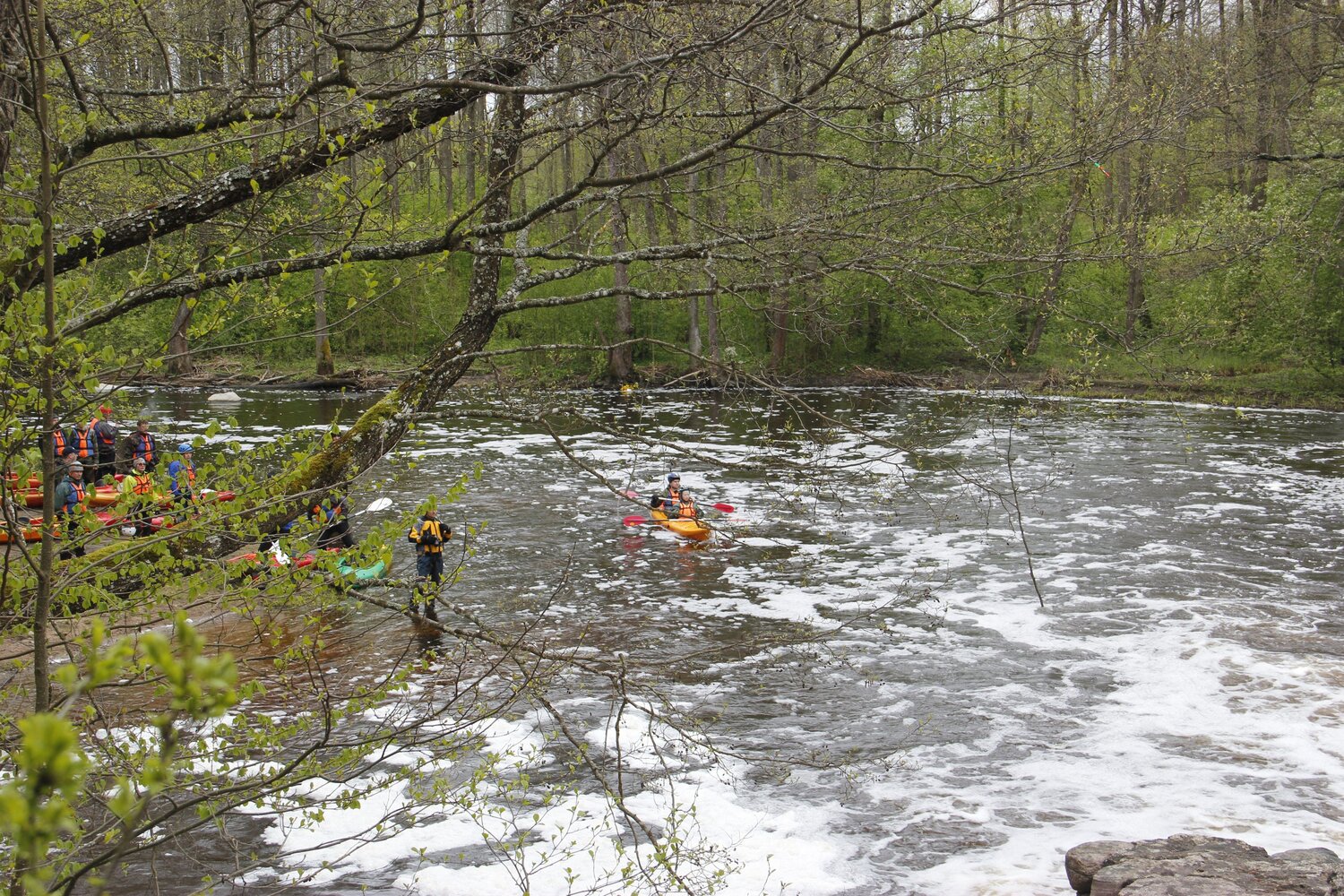Photo #13697811