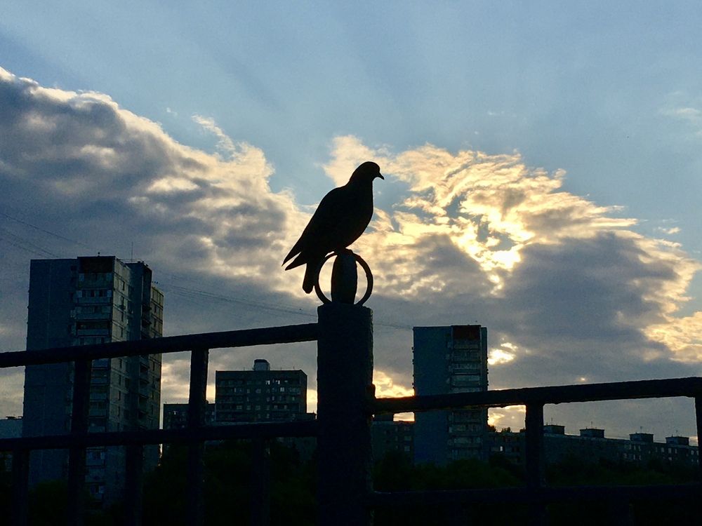 Photograph by Ионова Татьяна