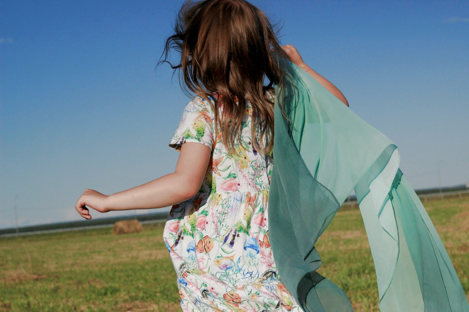 Photo #13697875