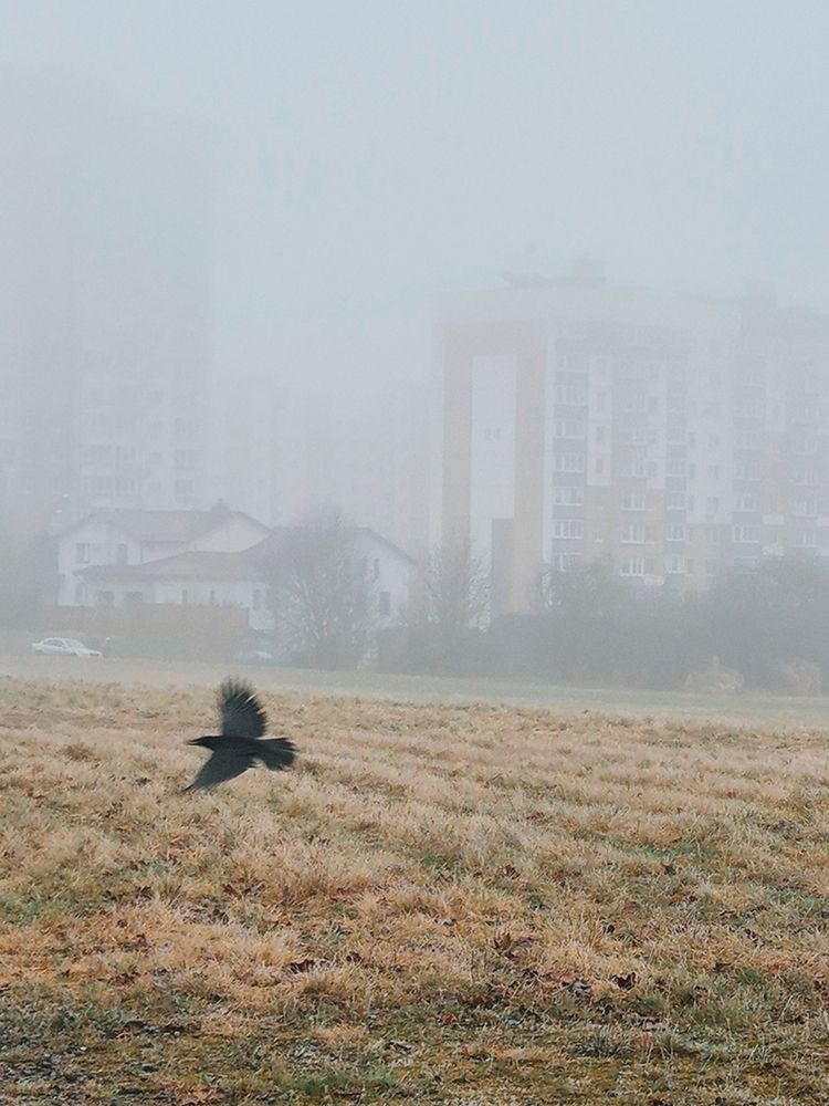 Photograph by Grushko Valeriya