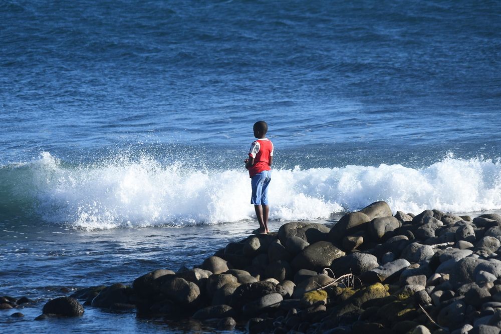 Photo #13697973