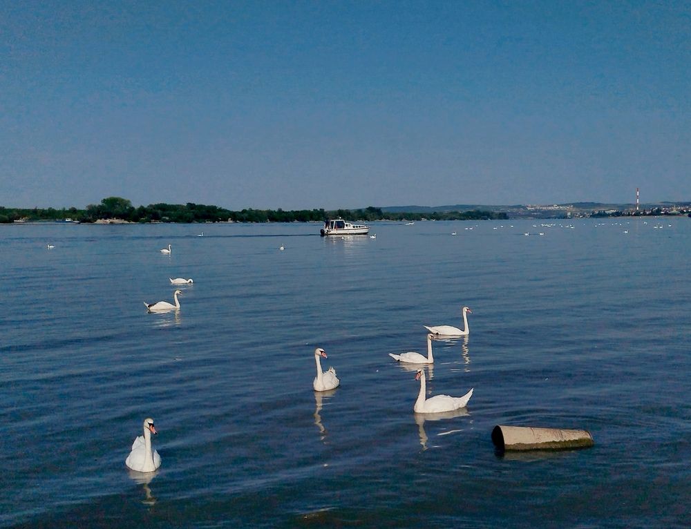 Photograph by Jelena Žarevac