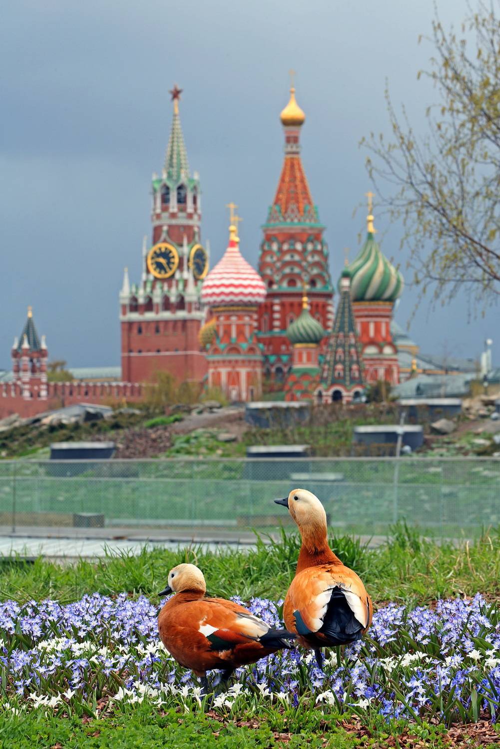 Photo #13697983