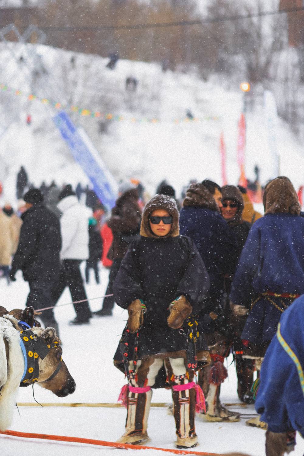Photo #13697998