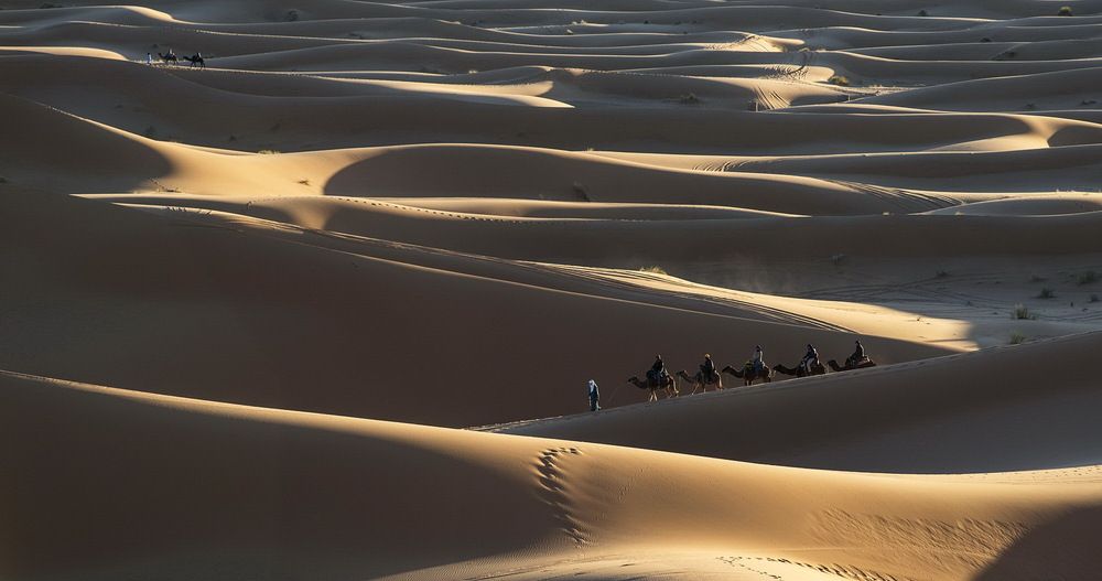 Photograph by Валерий Смирнов