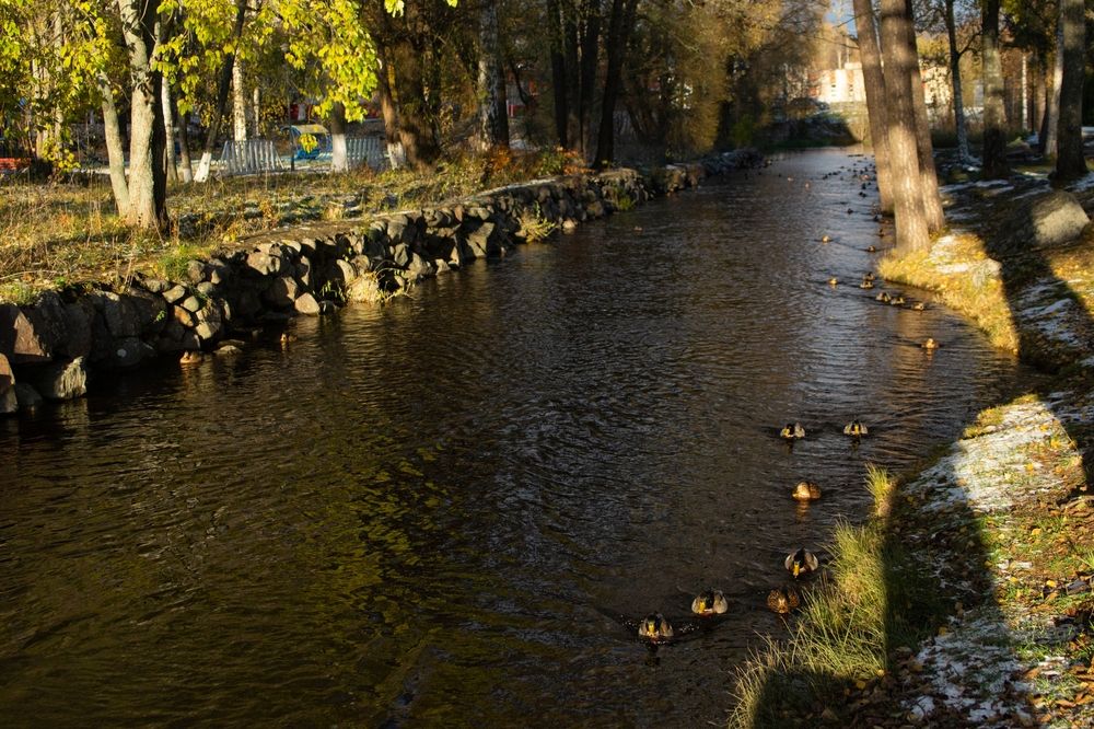 Photograph by Ольга Зимина