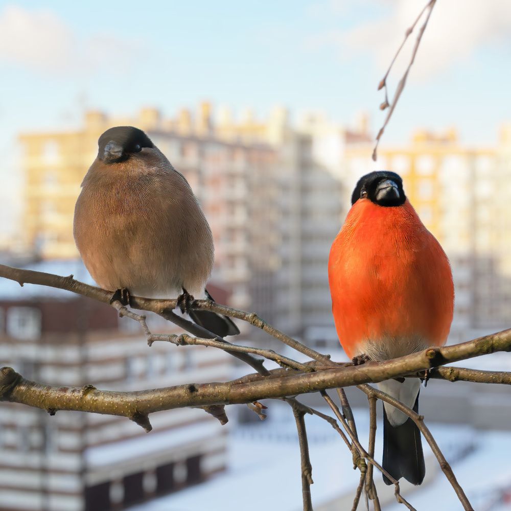 Photograph by Алексей Козлов