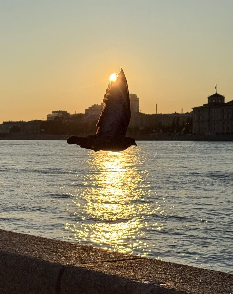 Photograph by Наталья Казачок