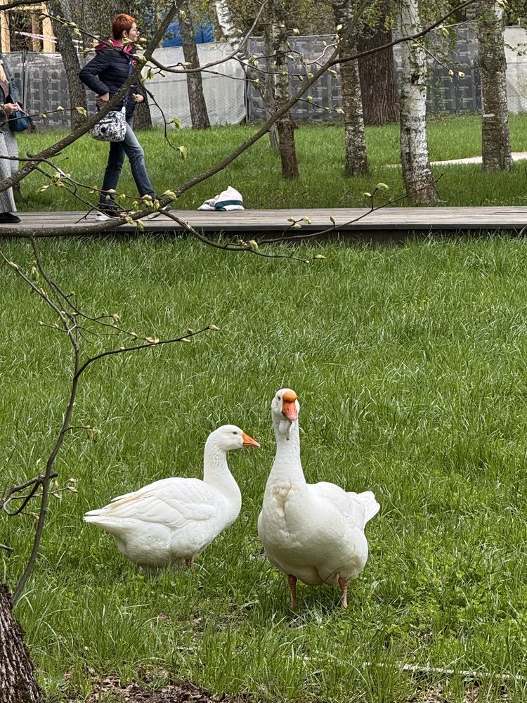 Photograph by Ольга Фёдорова