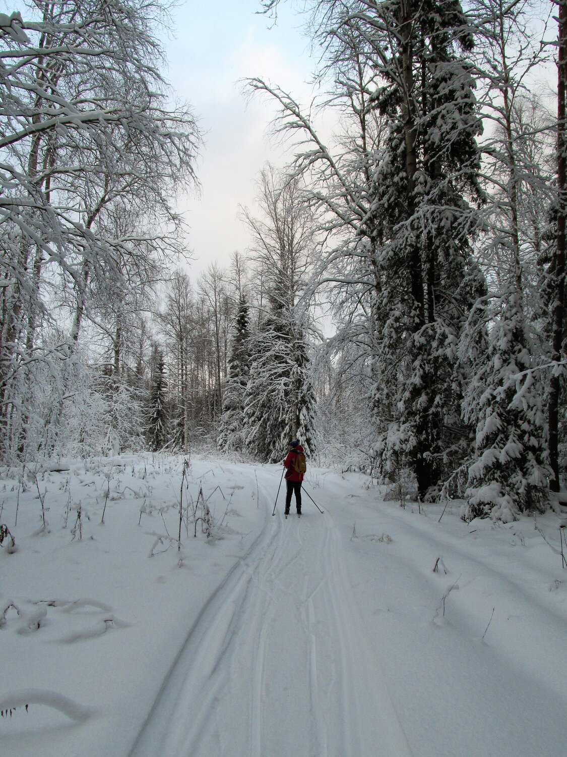 Photo #13698165
