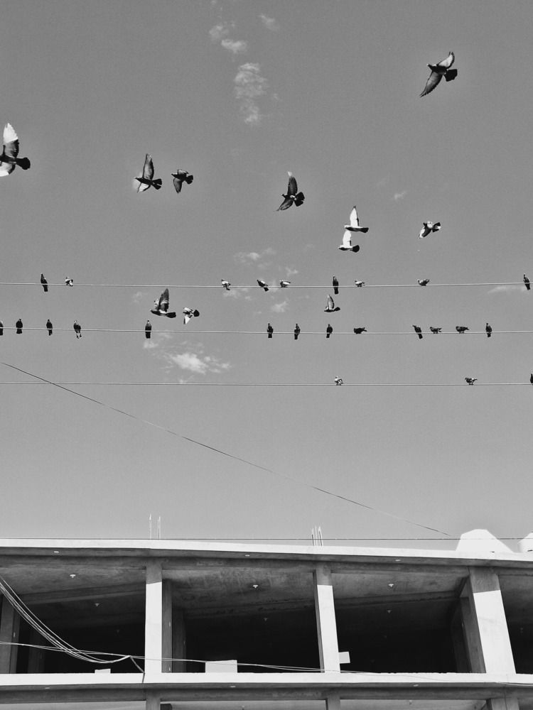Photo #13698210