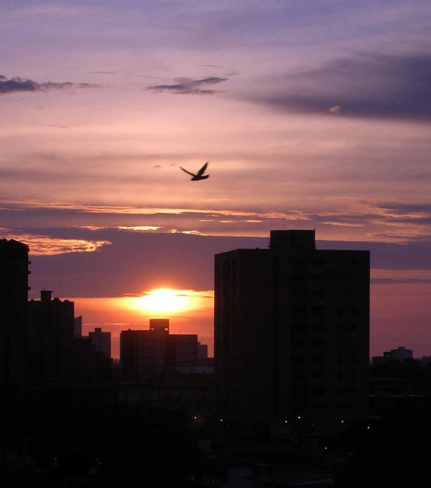 Photograph by Fabio Eduardo Godoy Ángel