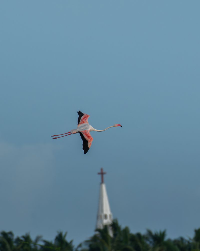 Photograph by Anandhu M
