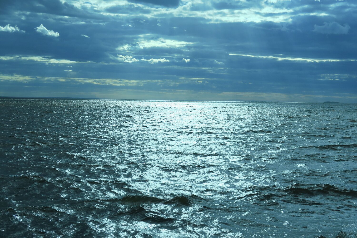 Photo #13698265