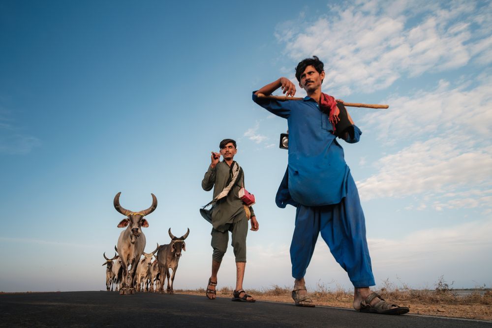 The herdsmen