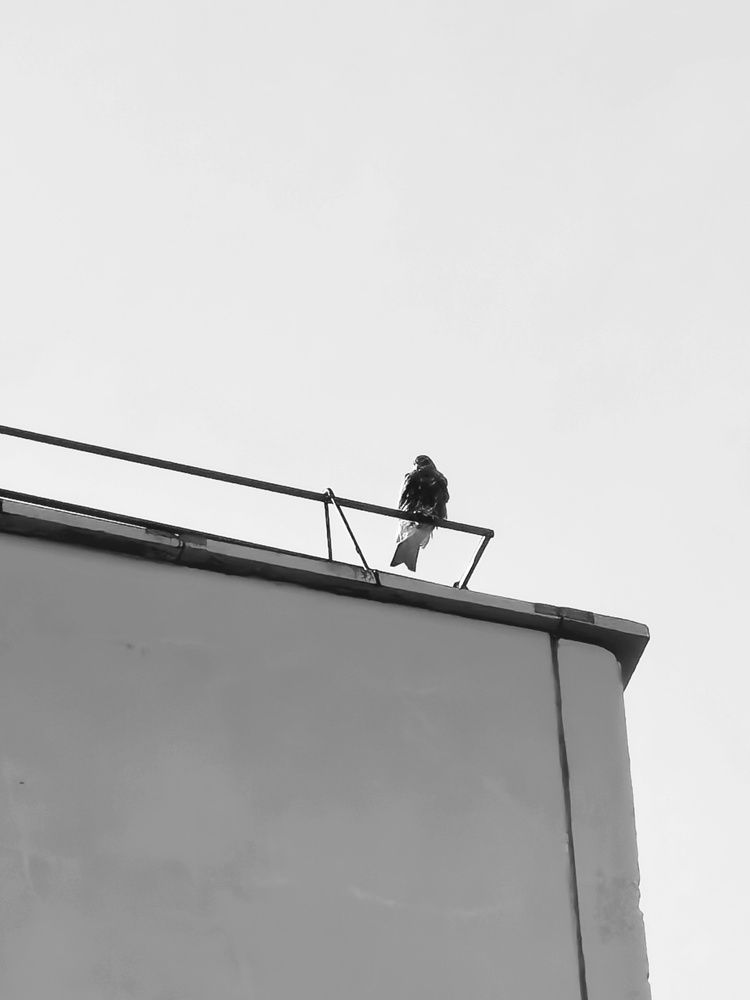 Photograph by Лидия Жижина
