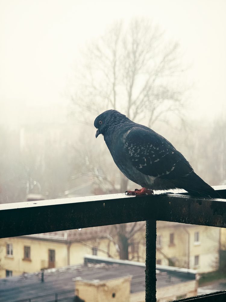 Photograph by Екатерина Кирьянова