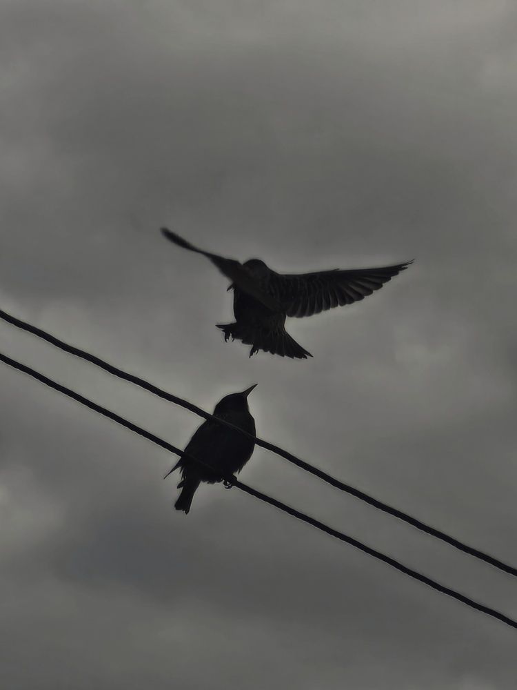 Photograph by Екатерина Кирьянова