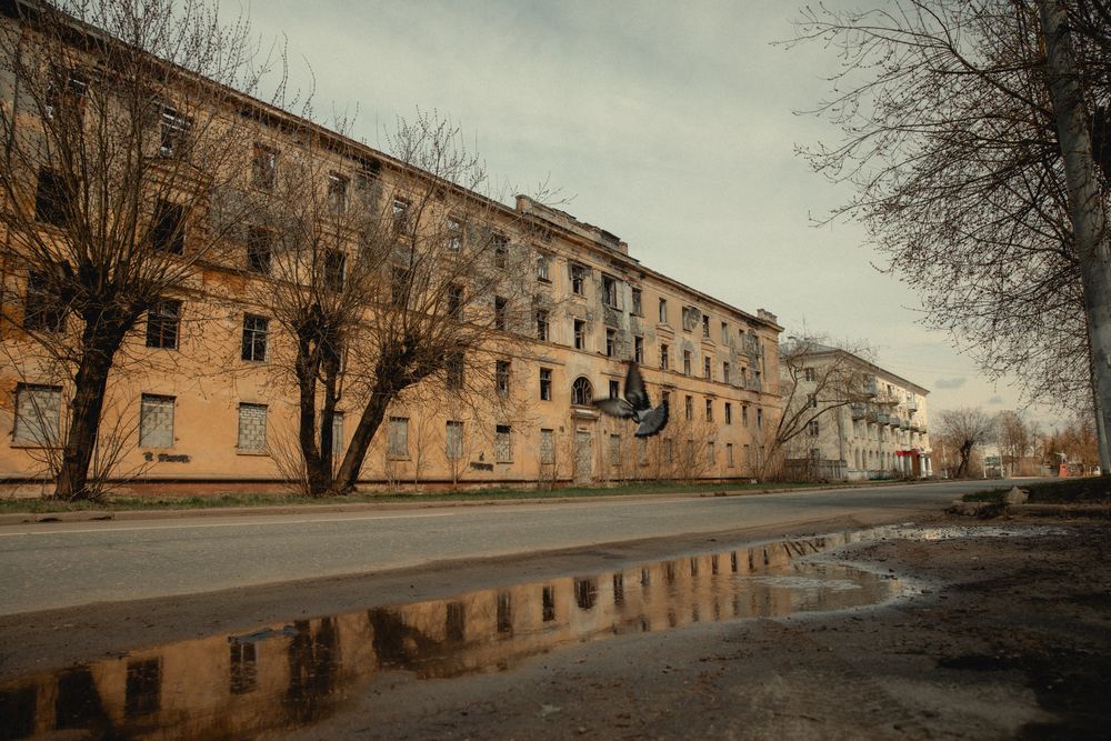Фотография автора Надежда Черковская