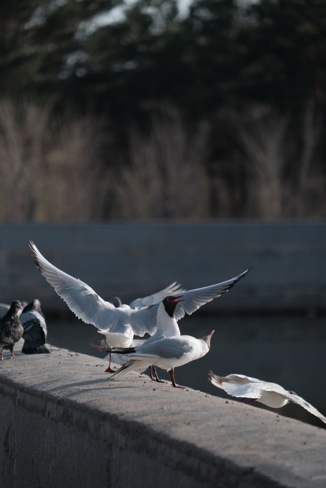 Photograph by Яна Истоцкая