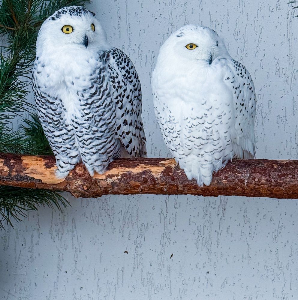 Photograph by Виктория Володько