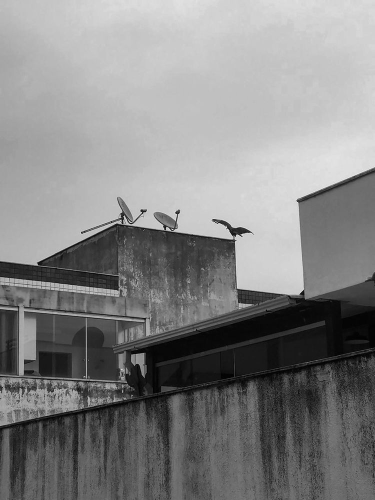 Photograph by Odo Fagundes Filho