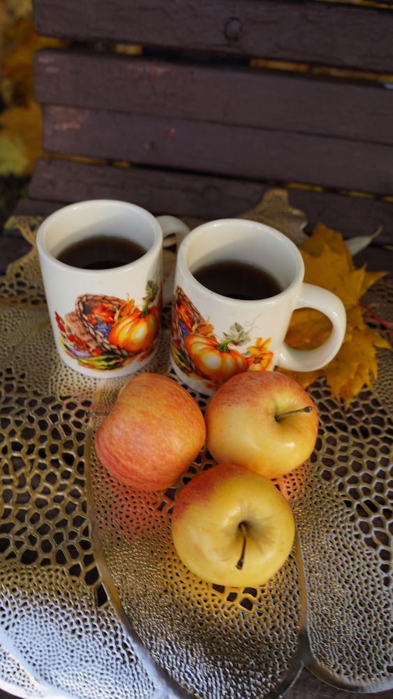 Photo #13698566