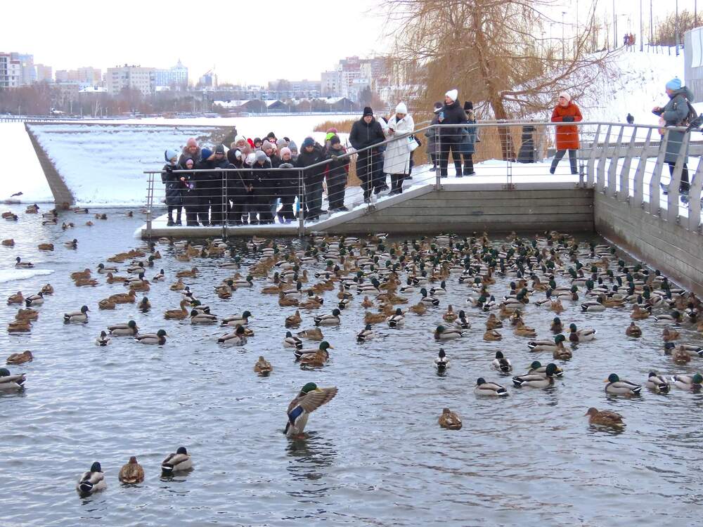 Photograph by Ольга Митрофанова