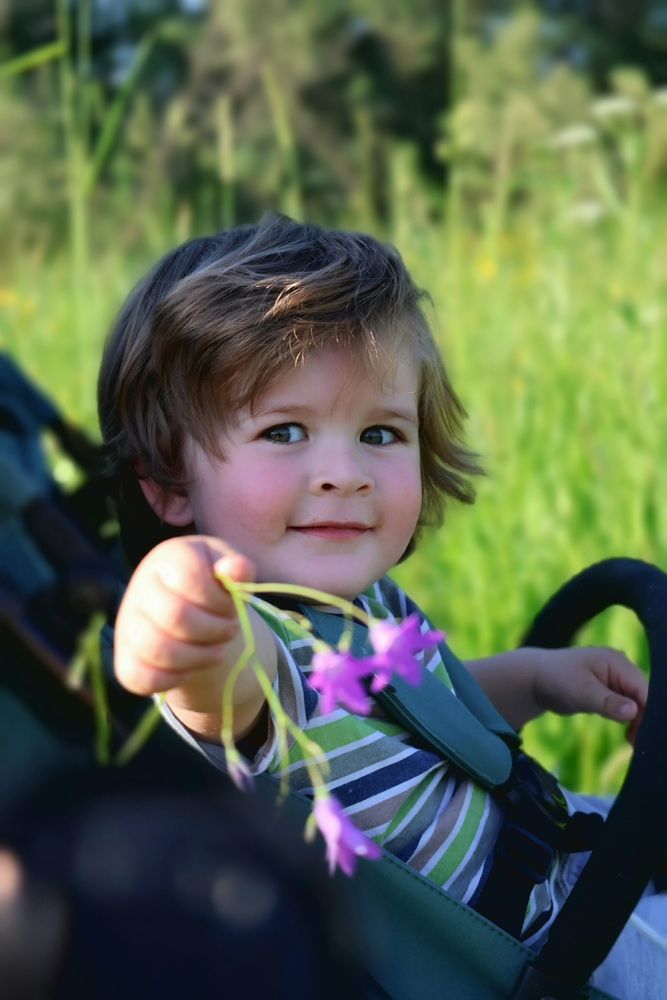 Photo #13698669