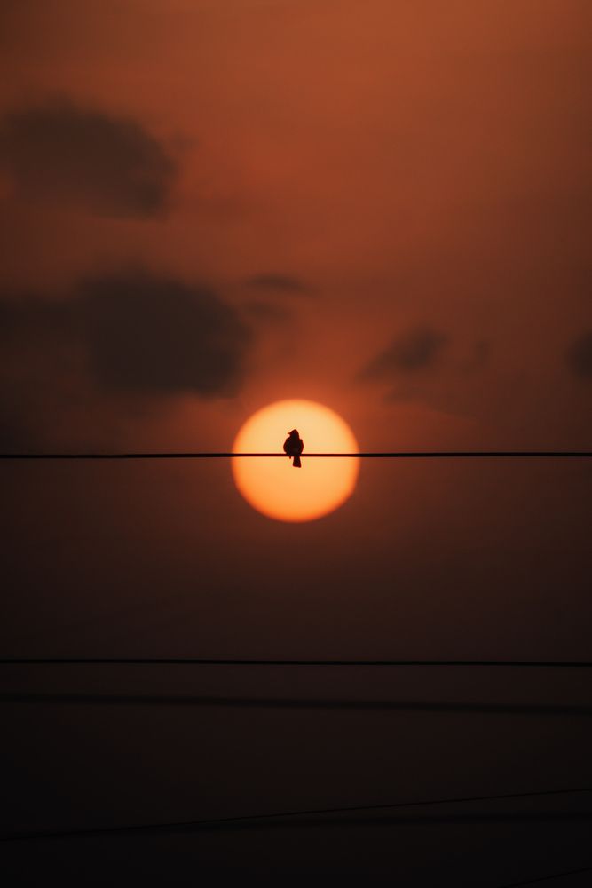 Photograph by Saksham Gupta