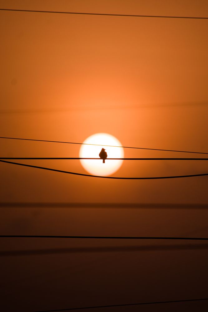 Photograph by Saksham Gupta