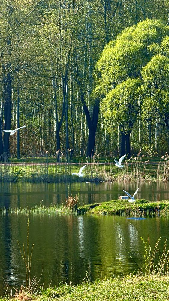 Photograph by Мария Смирнова