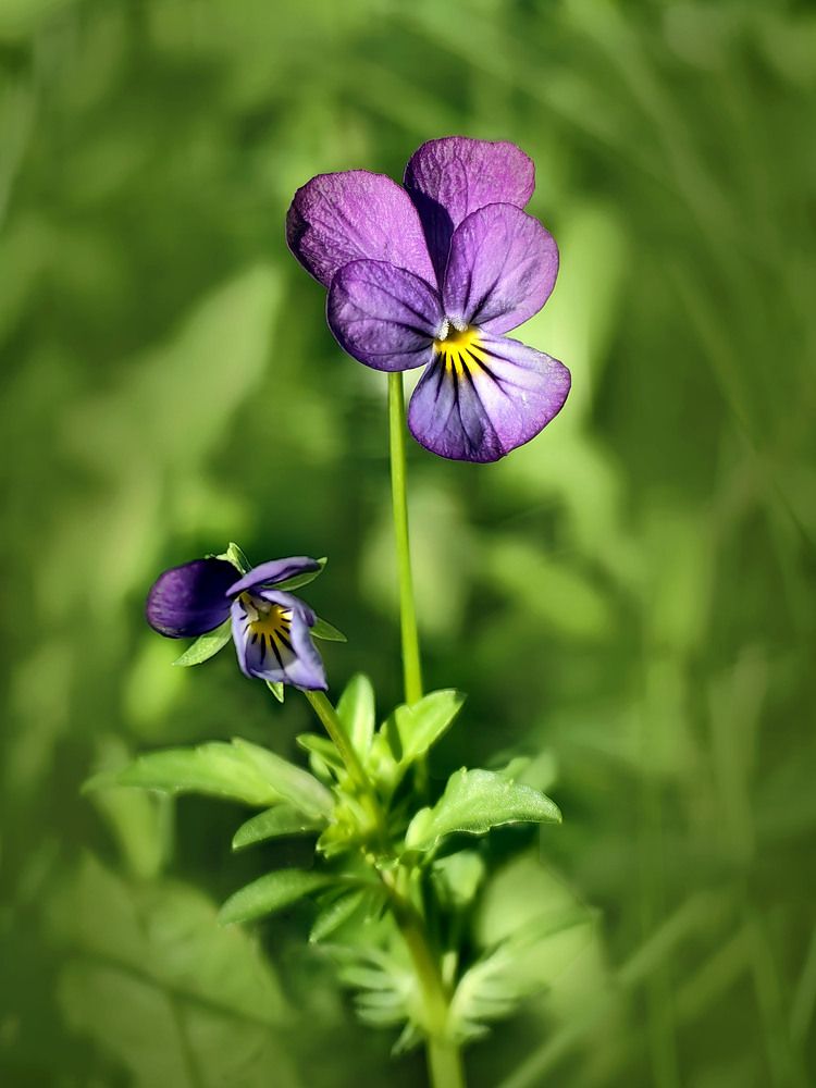 Photograph by Татьяна Мишустина