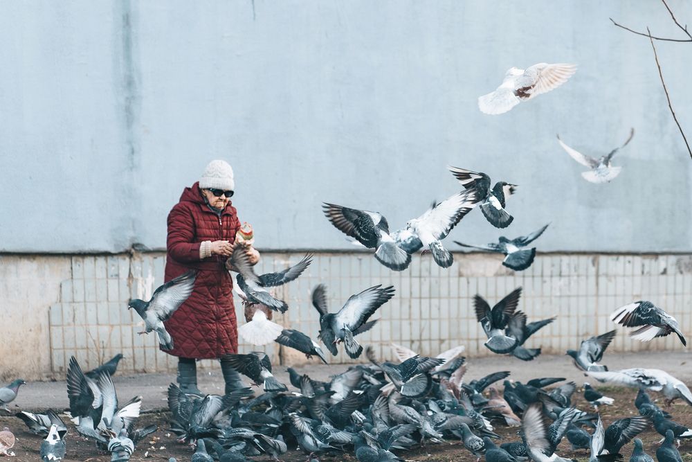 Photograph by Андрей Барышников
