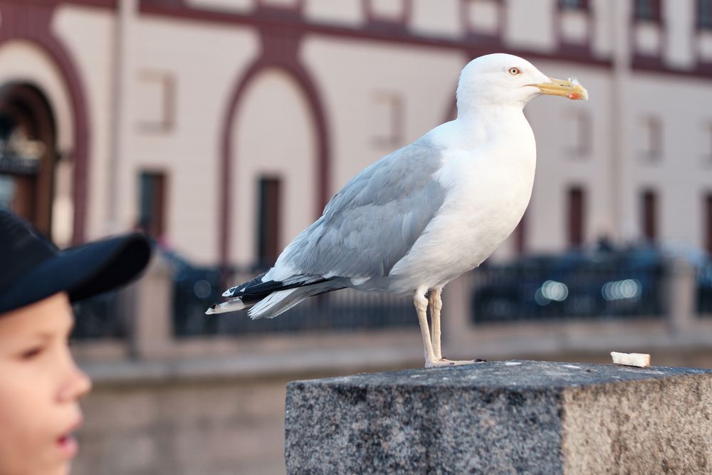 Photograph by Сергей Коваль
