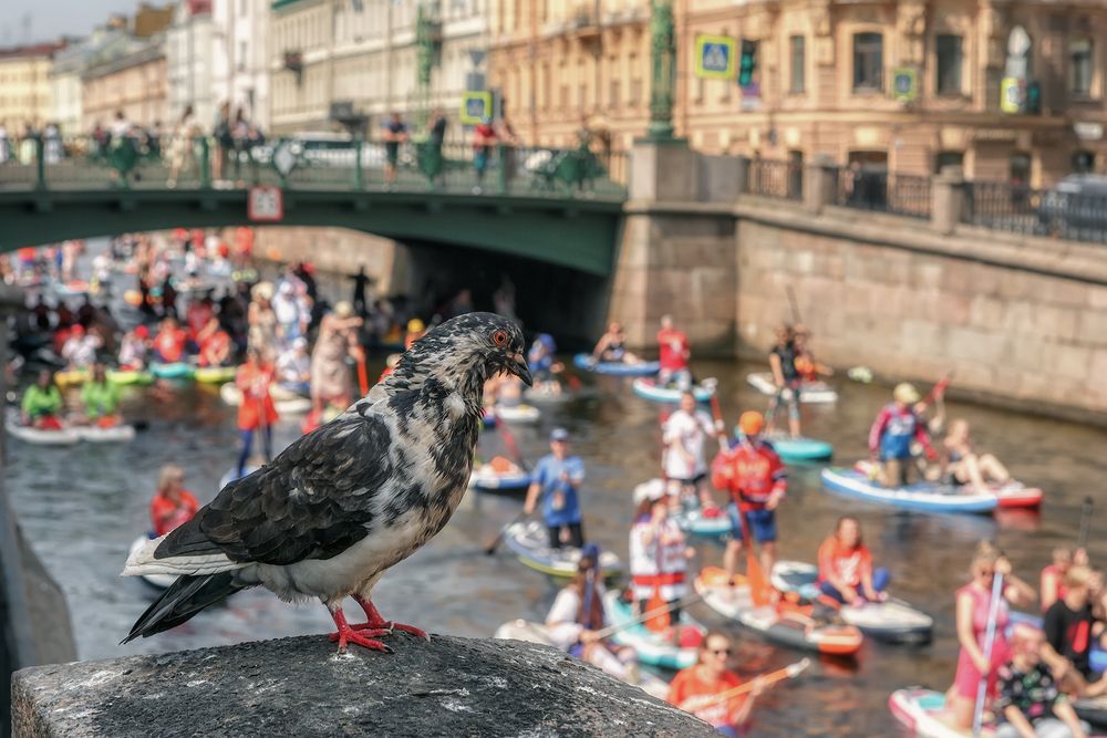 Photograph by Владимир Колесников