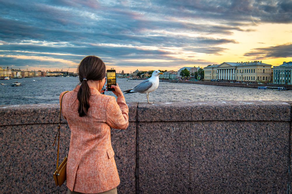 Photo #13698875