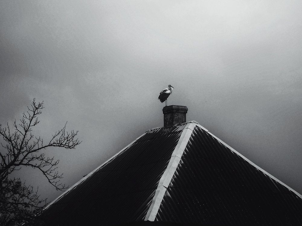 Photograph by Ольга Маклакова