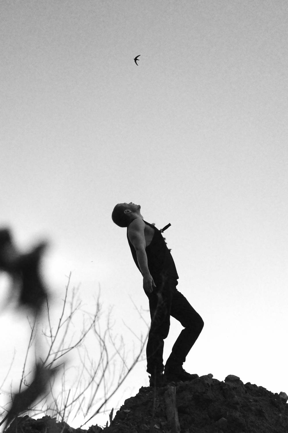 Photo #13699074