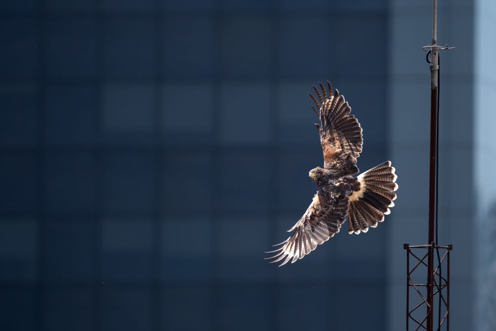 Photograph by Иван Кирсанов