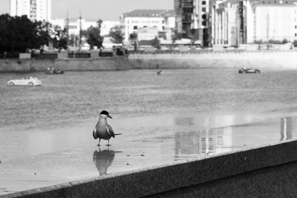 Photograph by Елена Павлова