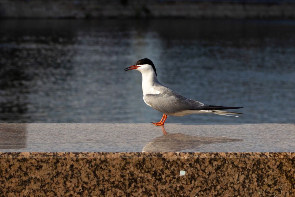 Photograph by Елена Павлова