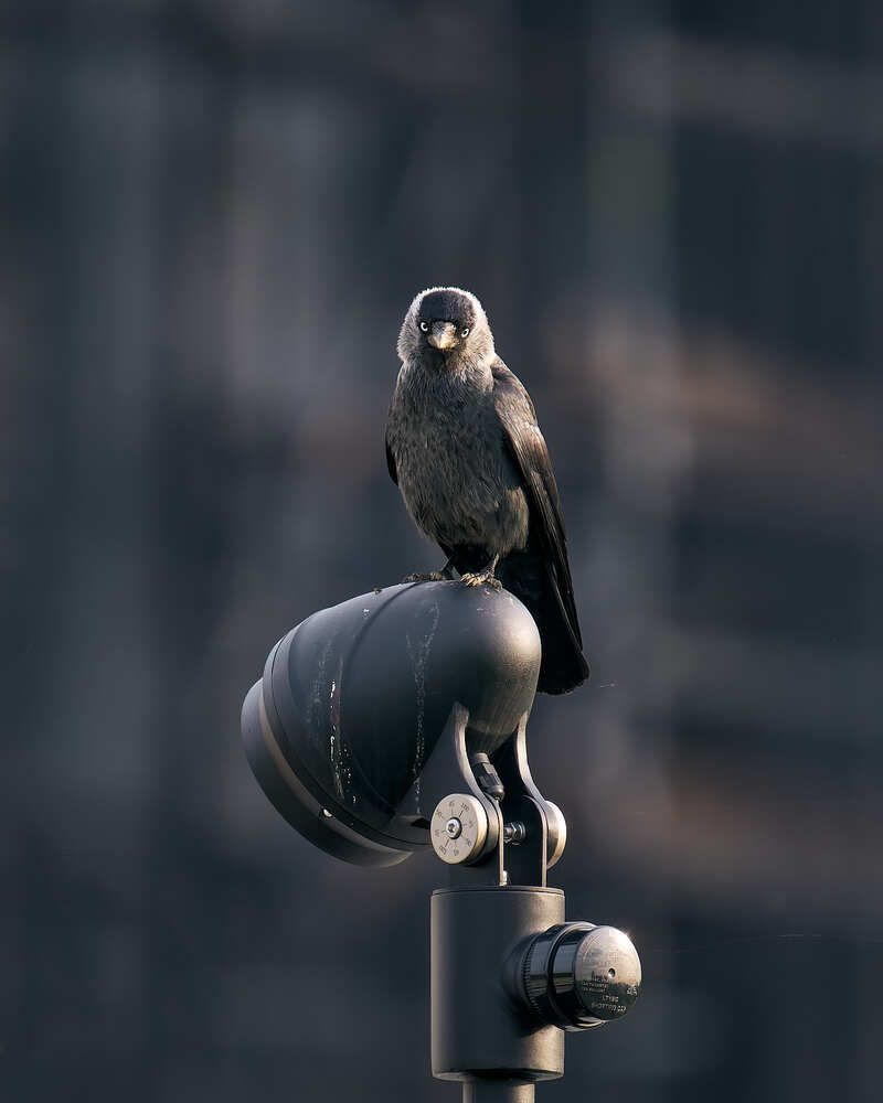 Photograph by Mikhail Khmelevskiy
