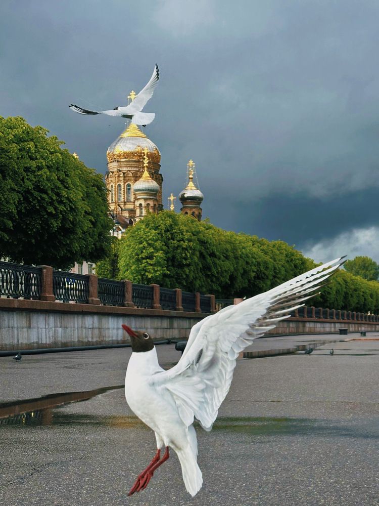 Photograph by Алина Подгорная-Стукун