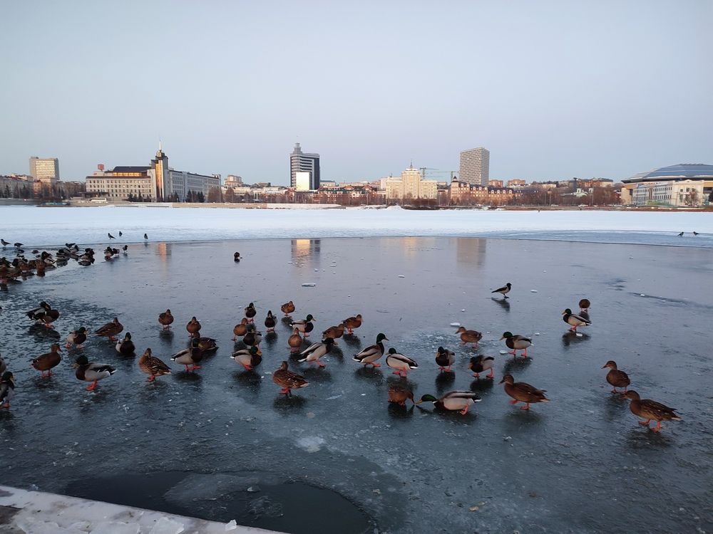 Photograph by Татьяна Петренко
