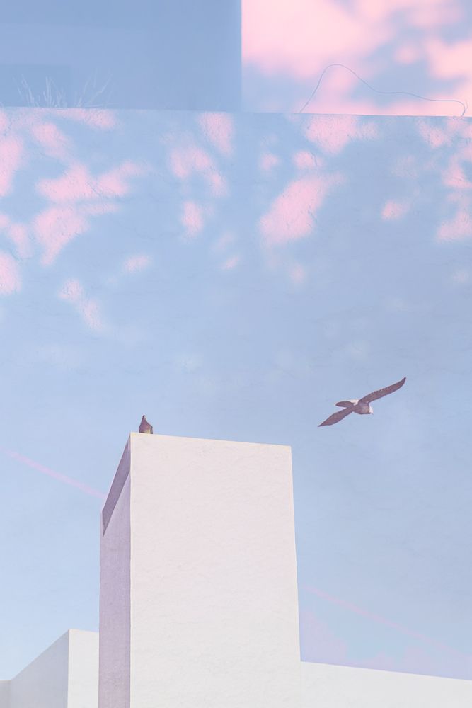 Photograph by Laurénia Rosa