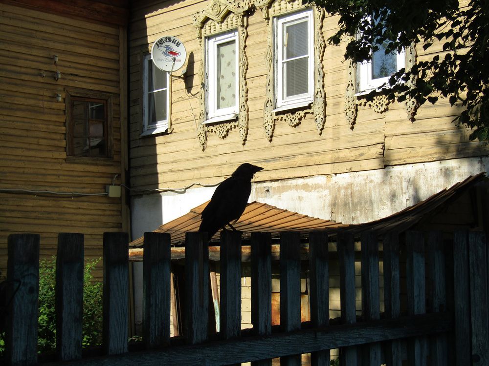 Photo #13699295