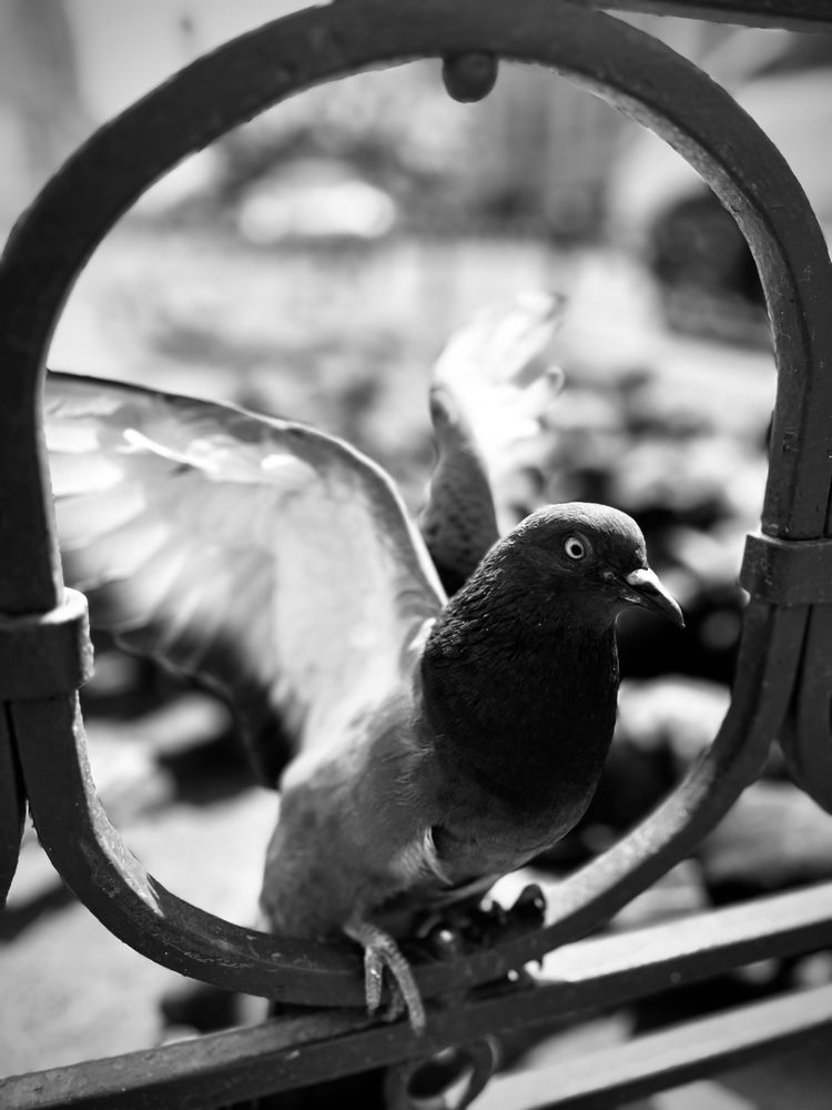 Photograph by Екатерина Сбитякова